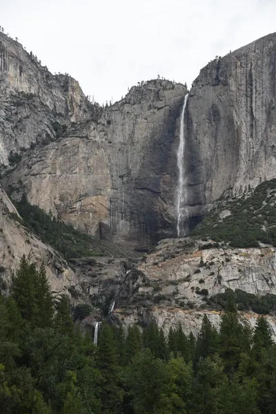 DSC_4649 (Large).JPG